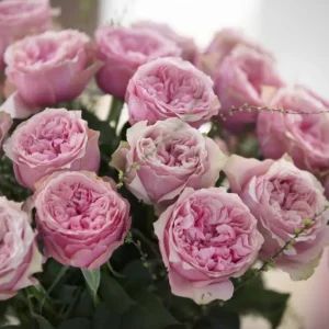 RA® With Heart and Soul